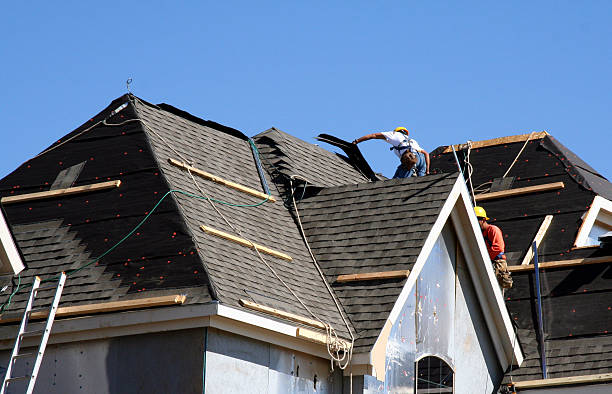 Best Roof Gutter Cleaning  in Dry Run, OH