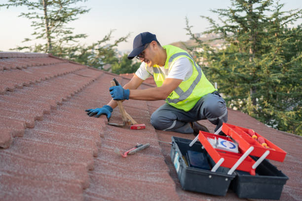 Best Residential Roofing Contractor  in Dry Run, OH