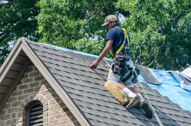 Best Emergency Roof Repair  in Dry Run, OH